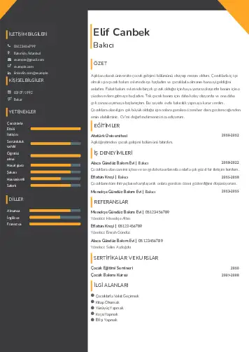 Bakıcı Cv Örnekleri cv indir